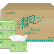 清风BR38AE1 塑包抽纸 双层200抽 48包整箱
